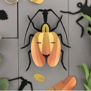 Insecte DIY Scarabée Violin - Assembli