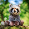 Peluche Raton laveur - Animigos
