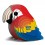 Eugy puzzle Perroquet 3D en carton