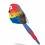 Eugy puzzle Perroquet 3D en carton