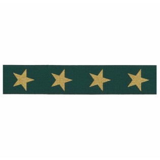Ruban vert étoiles dorées - Rico Design