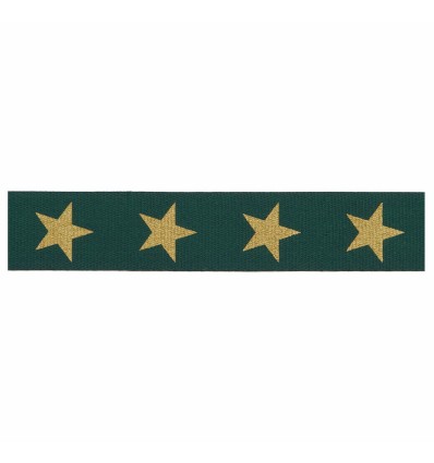Ruban vert étoiles dorées - Rico Design
