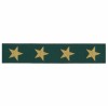 Ruban vert étoiles dorées - Rico Design