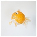 Kami fusen - Poisson orange