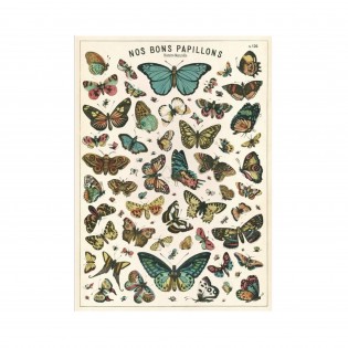Affiche Nos Bons Papillons - Cavallini & Co 2