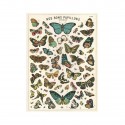 Affiche Nos Bons Papillons - Cavallini & Co