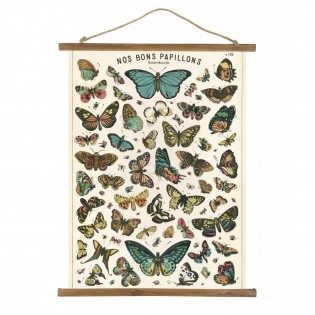 Affiche pédagogique Nos Bons Papillons - Cavallini & Co