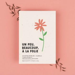 Graines à planter "Un peu, beaucoup, à la folie" - La Fabrique à Sachets