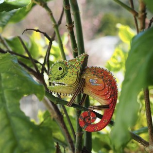 Eugy puzzle Caméléon 3D en carton