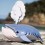 Eugy puzzle Baleine 3D en carton