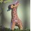 Eugy puzzle Girafe 3D en carton