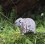 Eugy puzzle Mouton 3D en carton