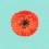 Pince à cheveux Coquelicot - Coucou Suzette