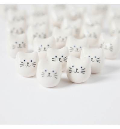 Mini chat - Dodo Toucan