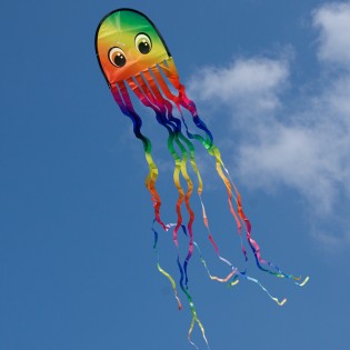 Cerf-volant Pieuvre Arc-en-ciel - Colours in Motion