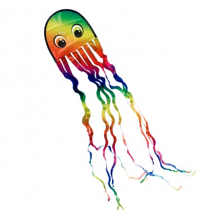Cerf-volant Pieuvre Arc-en-ciel - Colours in Motion