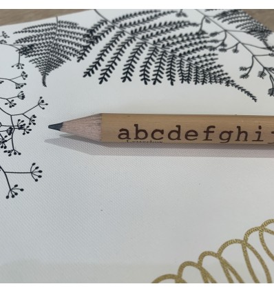Crayon à papier Alphabet - Cavallini