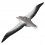 Eugy puzzle Albatros 3D en carton