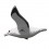 Eugy puzzle Albatros 3D en carton
