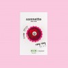 Sonnette de vélo Rose - Rainette