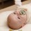 Tétine Colour Bibs Taille 1 - Sage