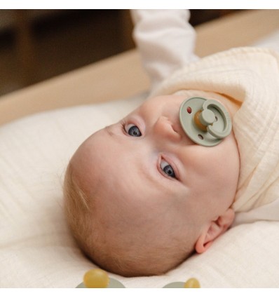 Tétine Colour Bibs Taille 1 - Sage