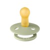 Tétine Colour Bibs Taille 2 - Sage