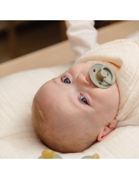 Tétine Colour Bibs Taille 2 - Sage