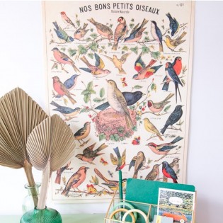 Affiche Oiseaux rétro vintage - Cavallini & Co