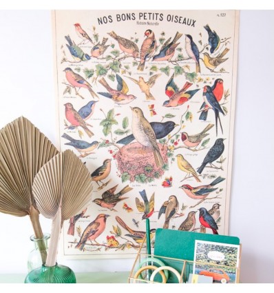 Affiche Oiseaux rétro vintage - Cavallini & Co