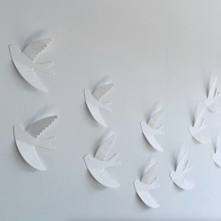 Hirondelles murales blanches - Les Petites Hirondelles