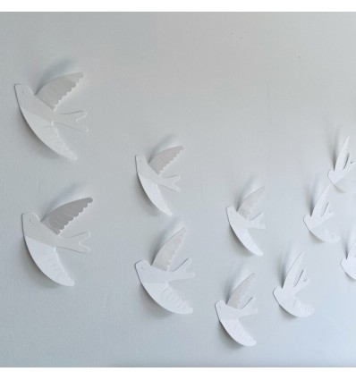 Hirondelles murales blanches - Les Petites Hirondelles