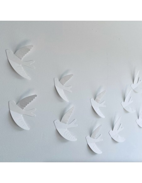 Hirondelles murales blanches - Les Petites Hirondelles