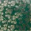 Papier cadeau Branche Sapin Vert - Rico Design