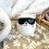Tirelire Chat à lunettes - Out of the Blue