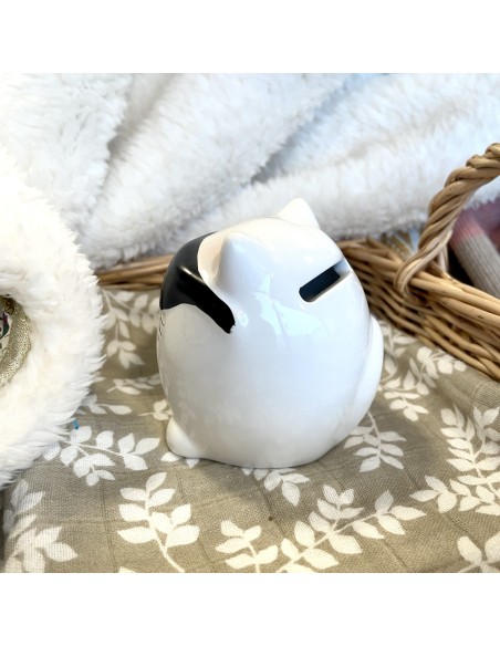 Tirelire Chat à lunettes - Out of the Blue