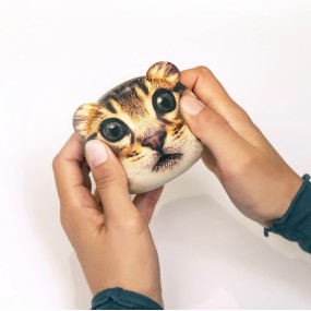 Balle anti-stress chat- Kikkerland 2