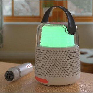 Enceinte et Karaoké Grise - Mobility On Board 2