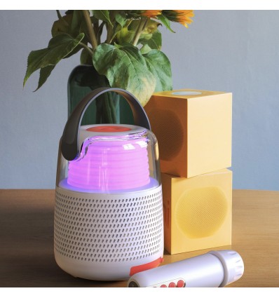 Enceinte et Karaoké Grise - Mobility On Board