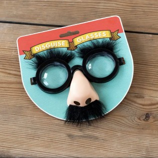 Lunettes avedc moustache - Rex