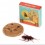 Blague cookie - Rex london
