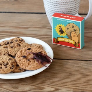 Blague cookie - Rex london