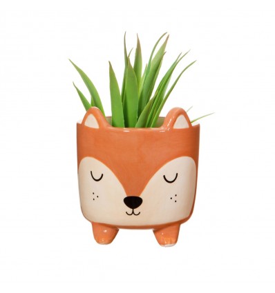 Mini pot pour plante renard - Sass & Belle