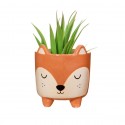 Mini pot pour plante renard - Sass & Belle