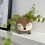 Mini pot pour plante cerf - Sass & Belle