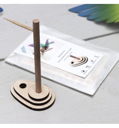 Présentoir mural en bois bird perch - Assembli