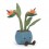 Peluche Amuseable oiseau de paradis - Jellycat