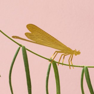 Déco de plante Demoiselle laiton