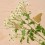 Déco de plante Papillon laiton
