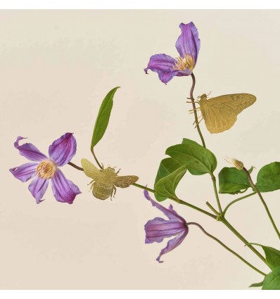 Déco de plante Papillon laiton
